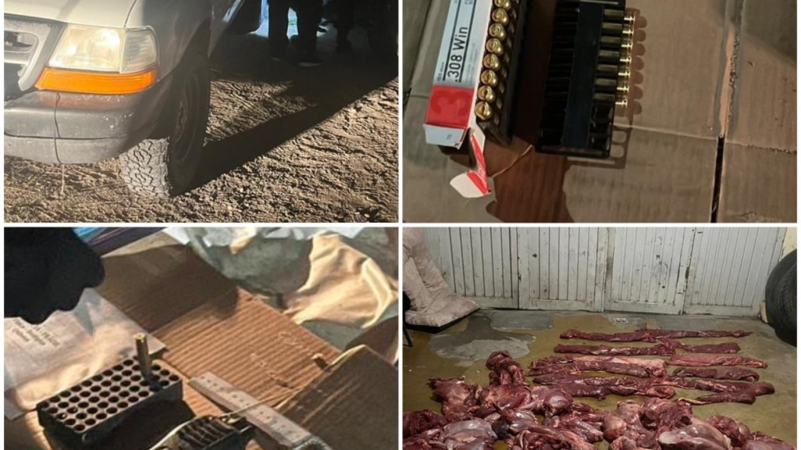 Secuestran carne de guanaco, municiones y celulares tras operativo en Ruta Nacional