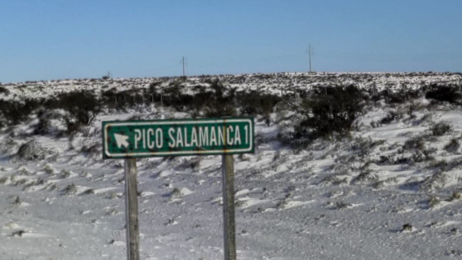 Compañía de teatro infantil iban camino a Tierra del Fuego y se presenta este domingo en Trelew