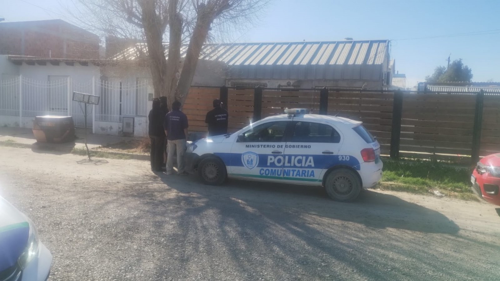 Rescataron 55 perros de un criadero en Puerto Madryn