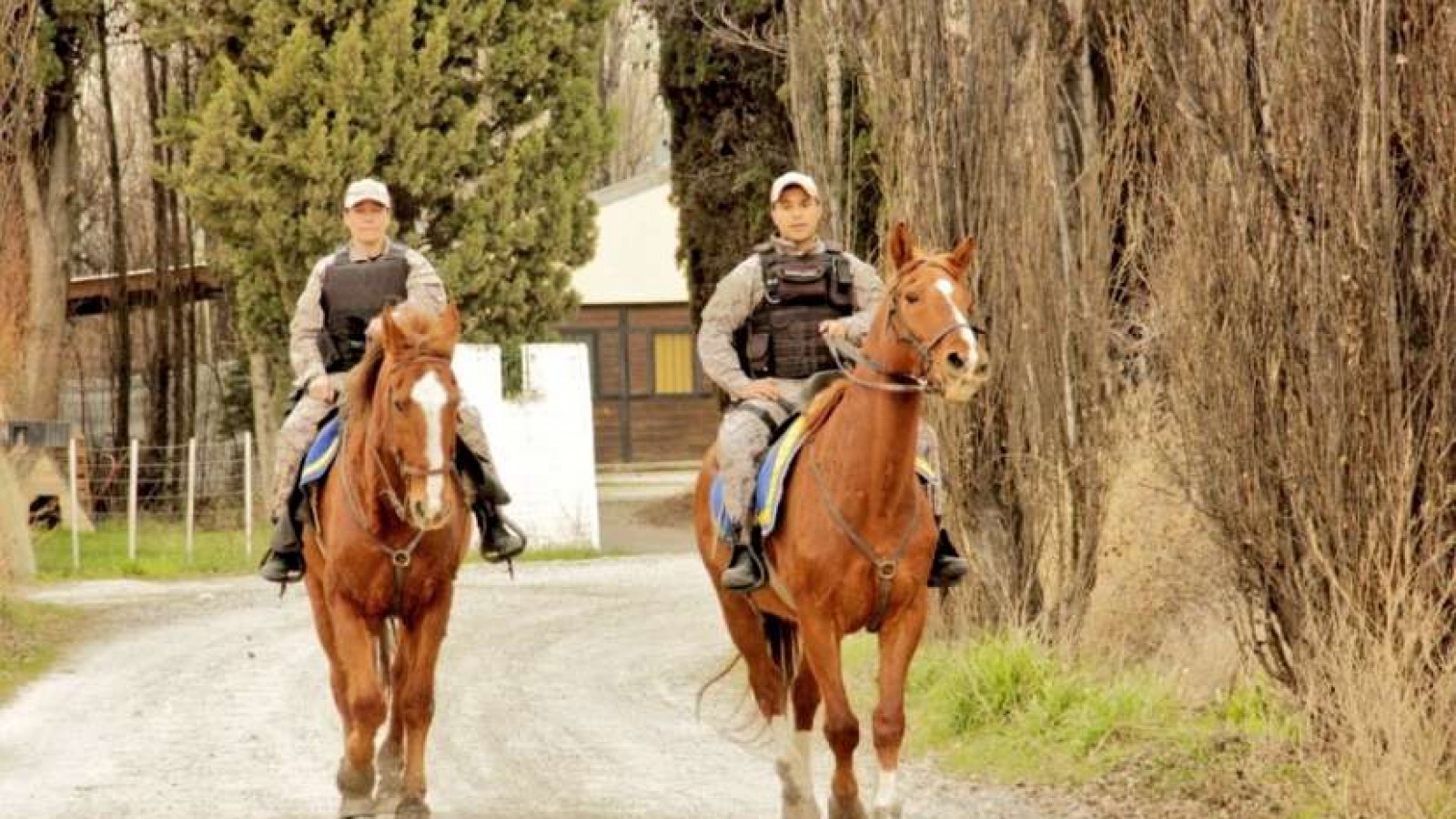 Una camioneta chocó a dos caballos de la Montada en Rawson