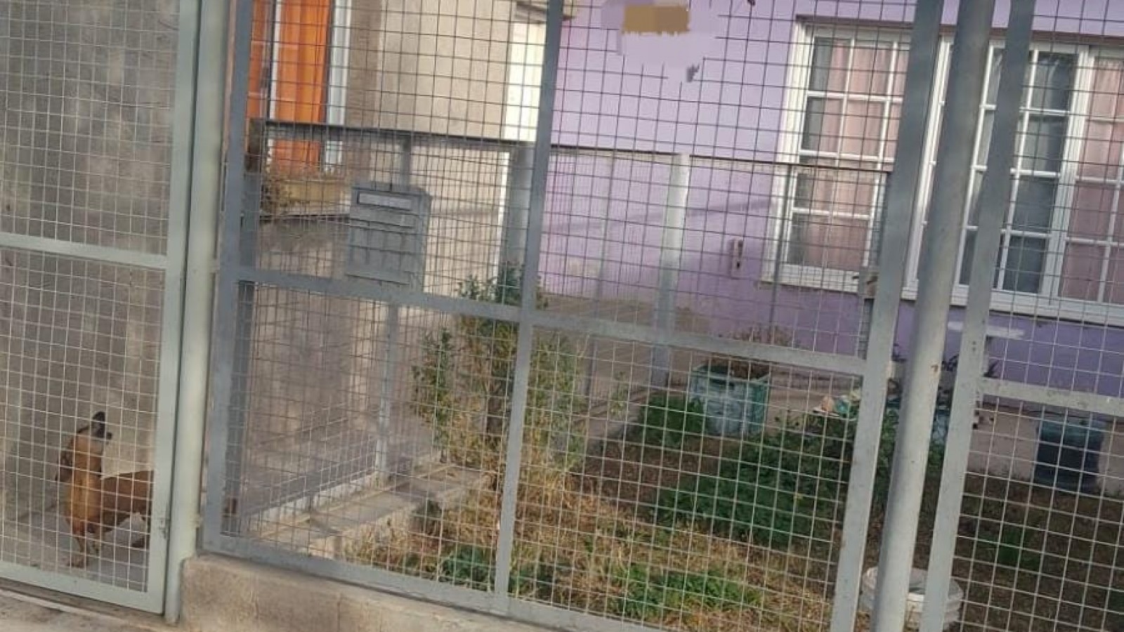 Policías auxiliaron a un nene de 4 años que convulsionó tres veces