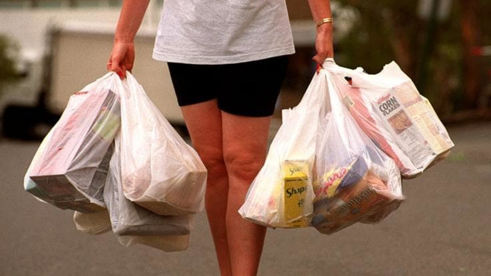 Puerto Madryn prohíbe la distribución de bolsas de plástico en los comercios