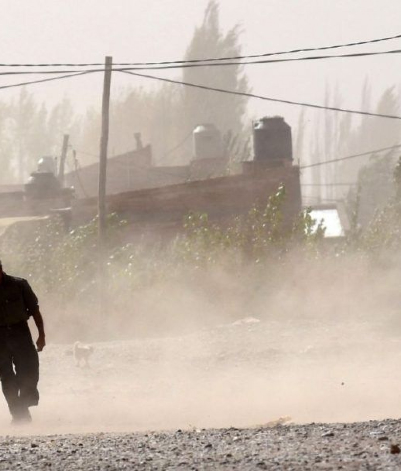 Alerta amarilla: fuertes vientos afectarán a distintas zonas de Chubut