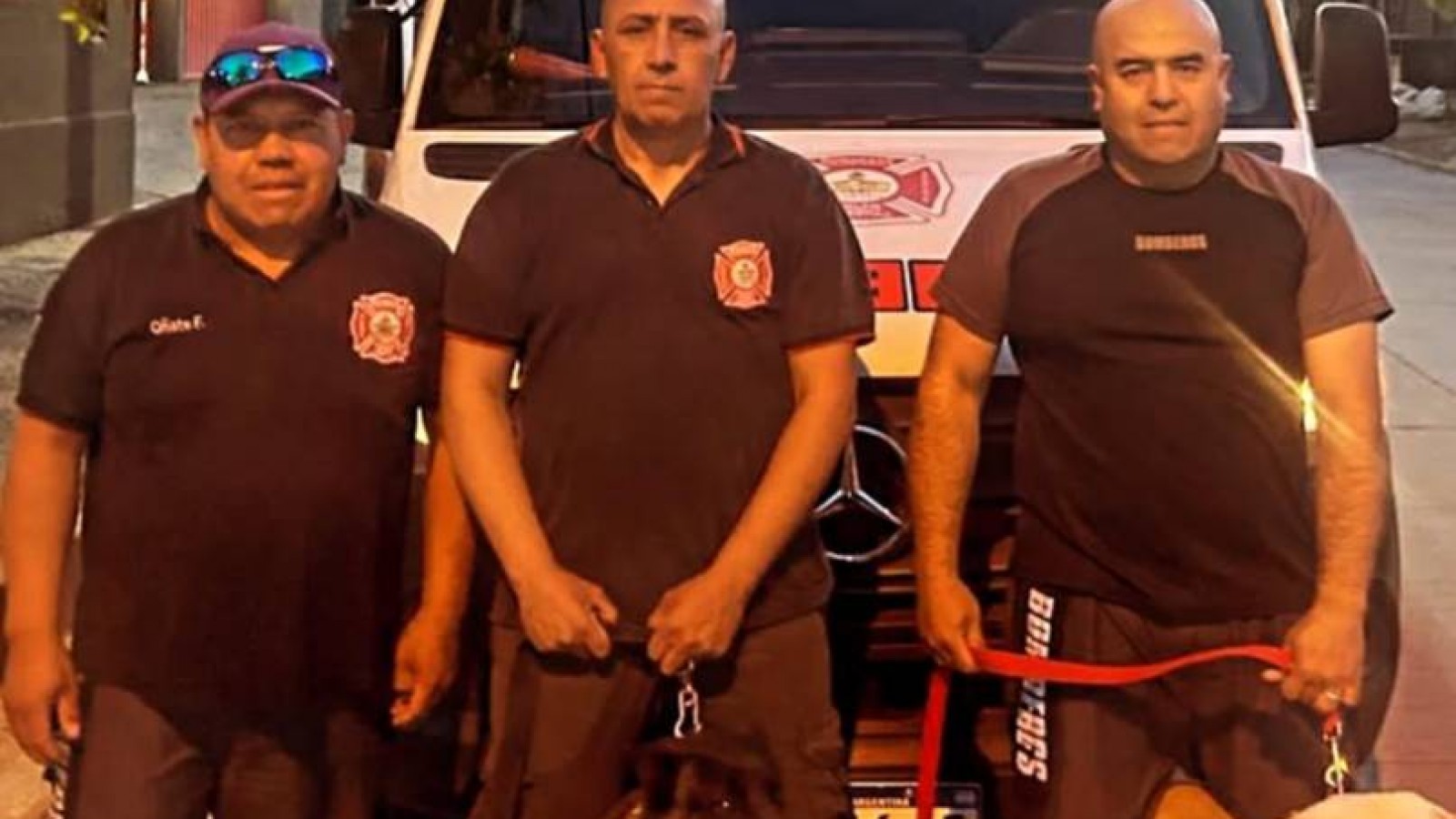 Roco y Kali, los perros de Trelew que participan en la búsqueda de la pareja desaparecida en Comodoro