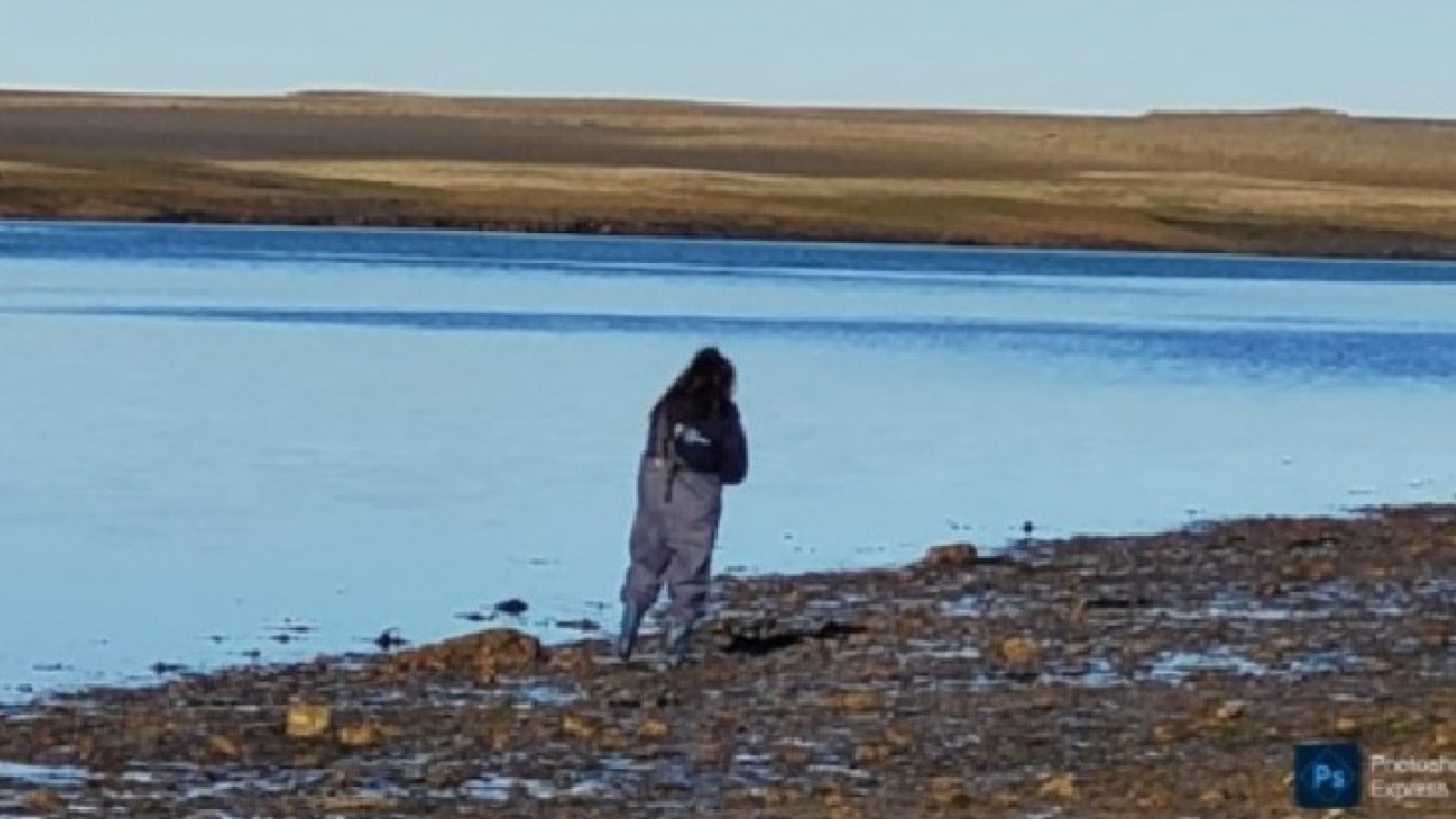 Descubrieron que miles de invertebrados viven al amparo de las algas de Puerto Madryn