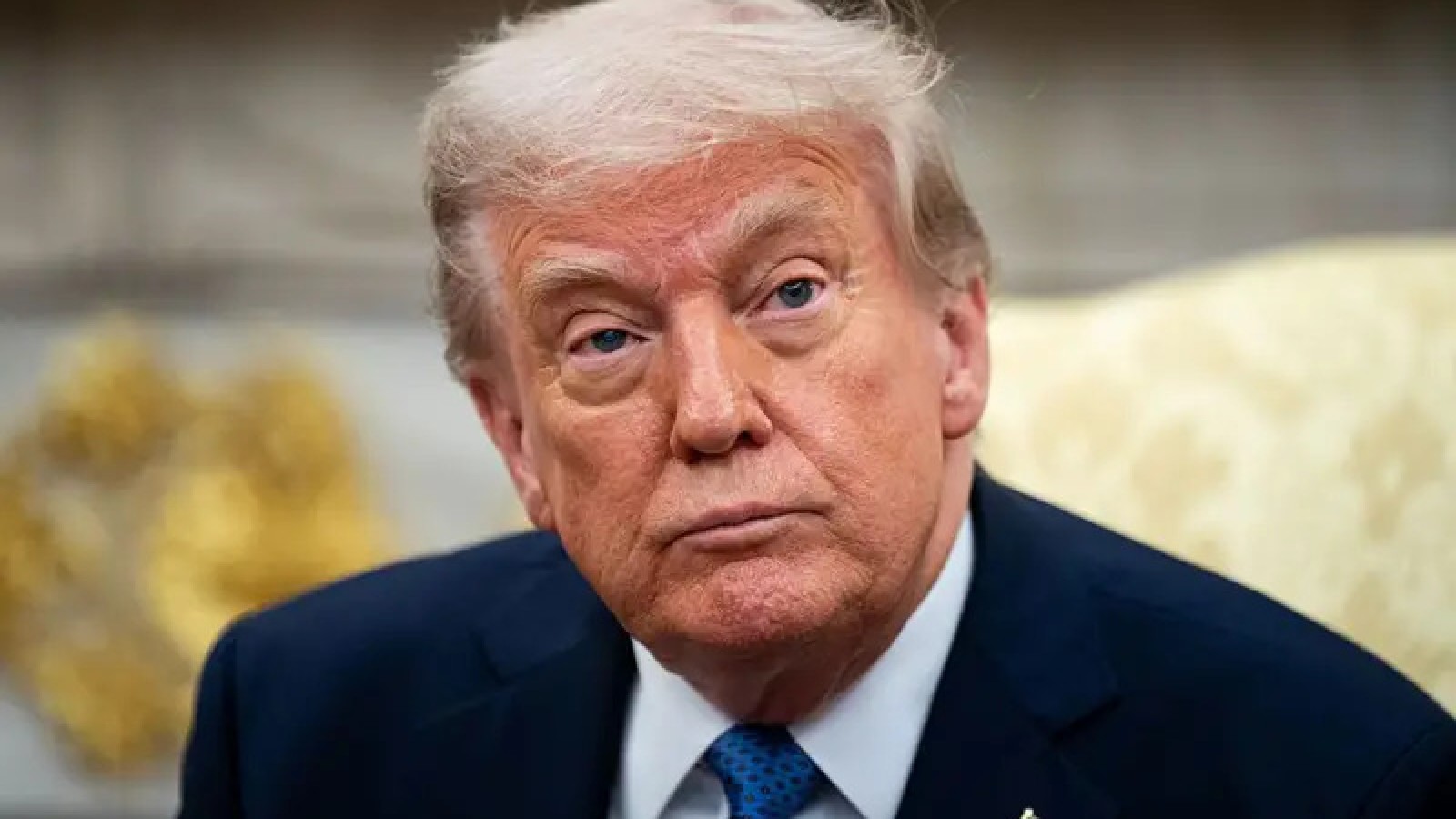 Trump culpó al cierre del gobierno tras perder en Virginia y Nueva Jersey