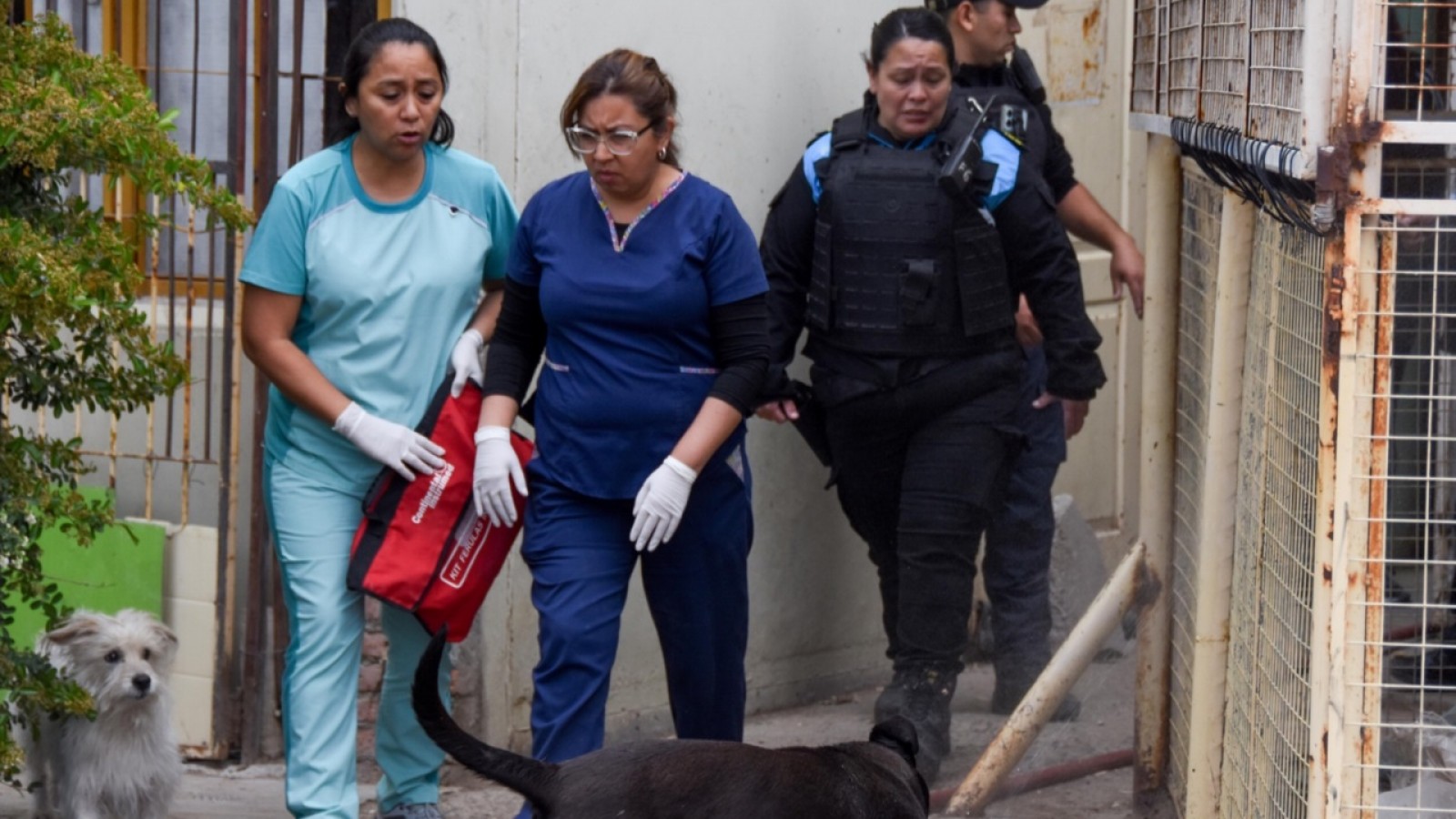 Trelew: una discusión de pareja terminó con un incendio y un joven hospitalizado