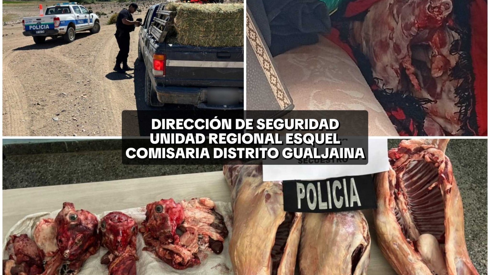 Gualjaina: le cobraron una deuda con tres chivitos faenados