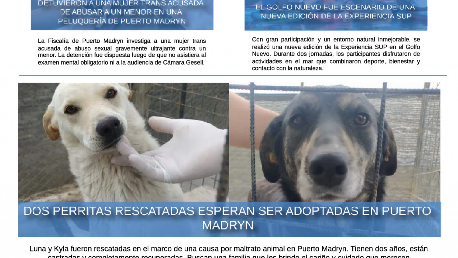 Ya salió la nueva edición digital de Madryn Ahora