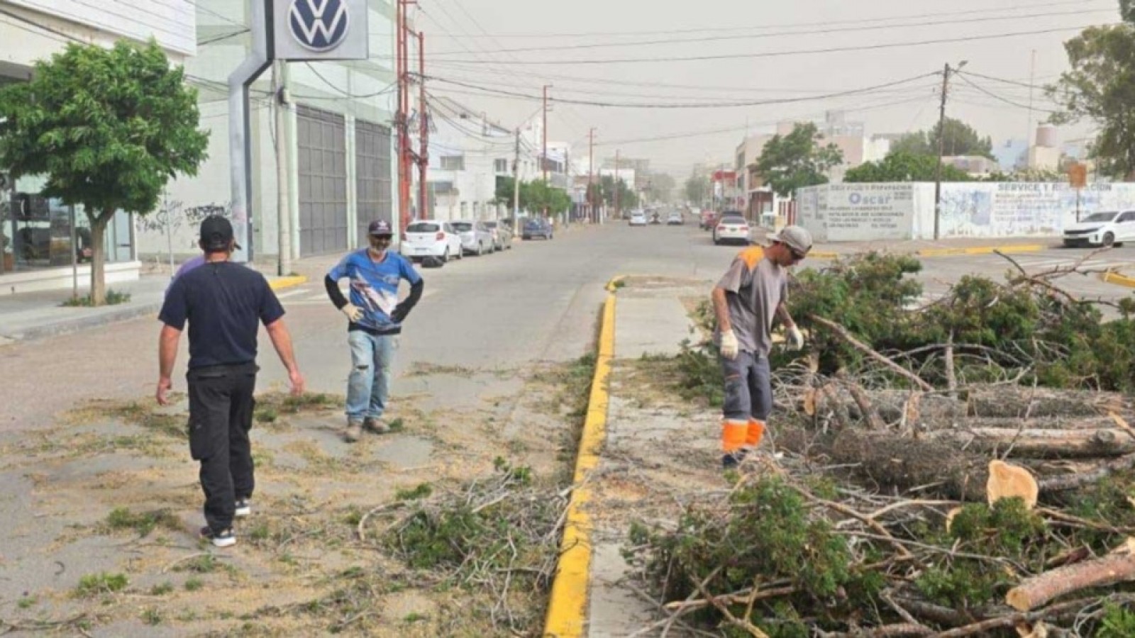 Temporal en Madryn: caída de postes, árboles y voladuras de techos