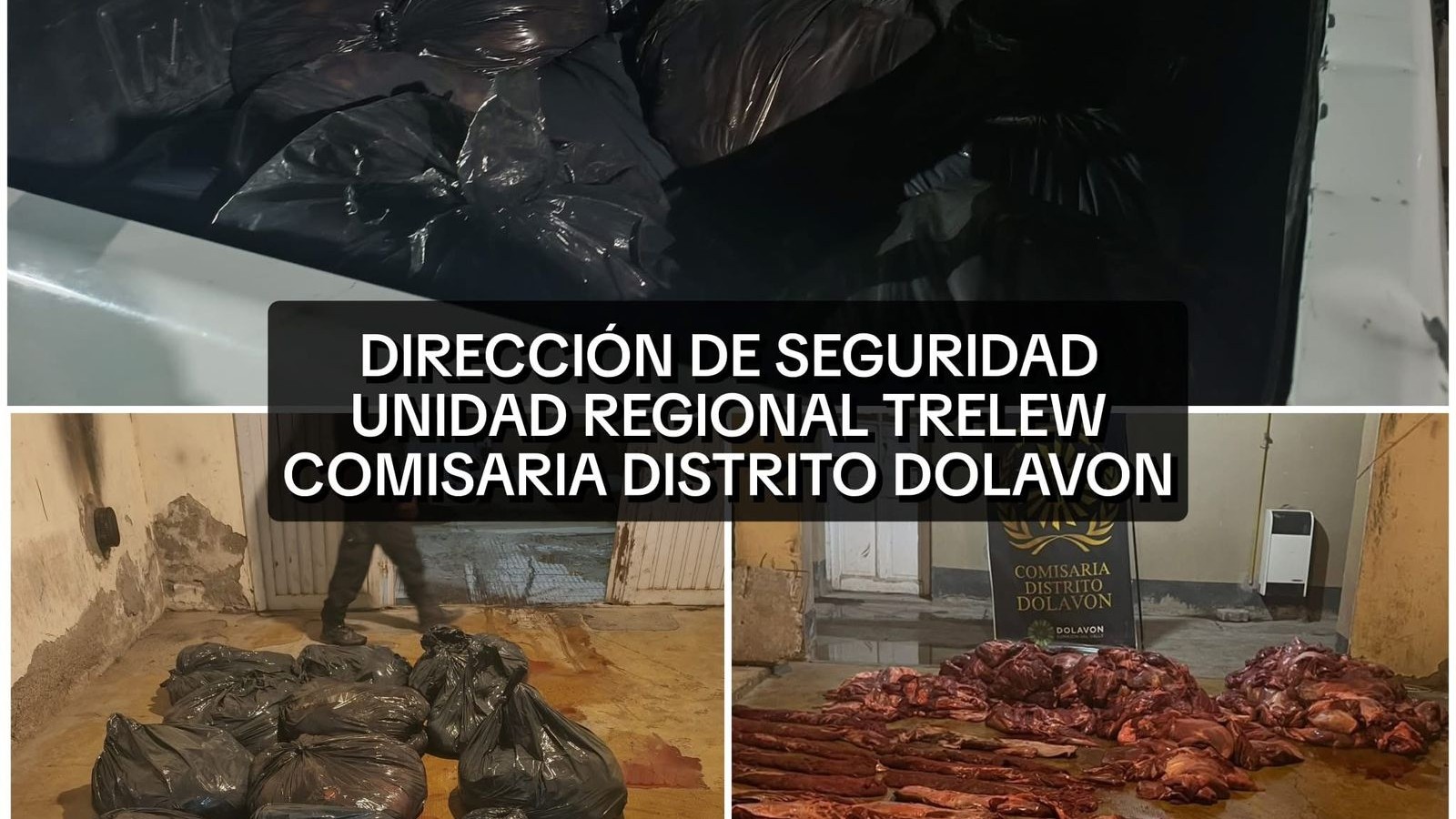 Tenía pedido de captura en Madryn y trasladaba más de 500 kilos carne de guanaco en una camioneta