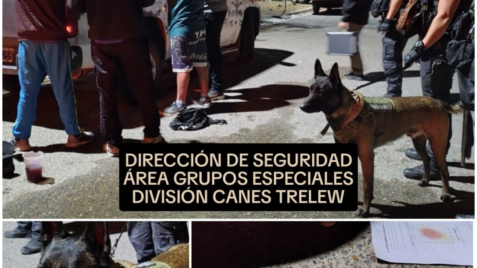 Secuestraron cocaína, dinero y un arma tras allanamientos en Trelew