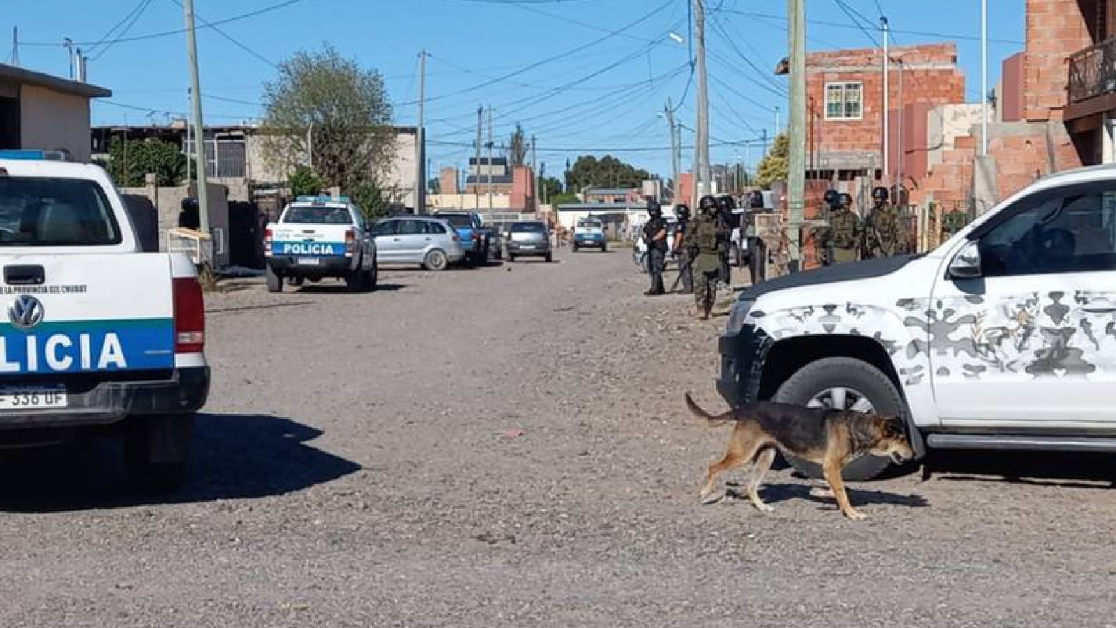 Allanamientos en el Moreira 4: secuestraron un arma, municiones y plantas de marihuana