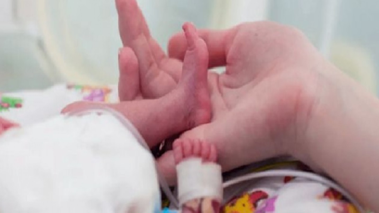 Histórico: Nacieron trigemelas en el nuevo Hospital de Trelew