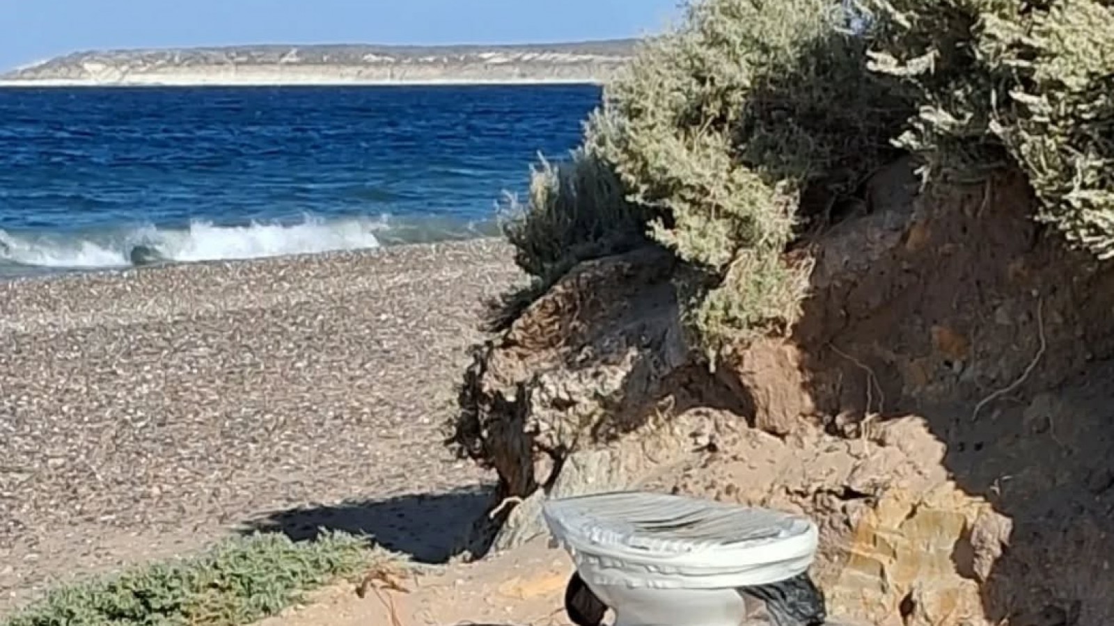 Insólita situación en la costa de Madryn: instalaron un inodoro a metros del mar