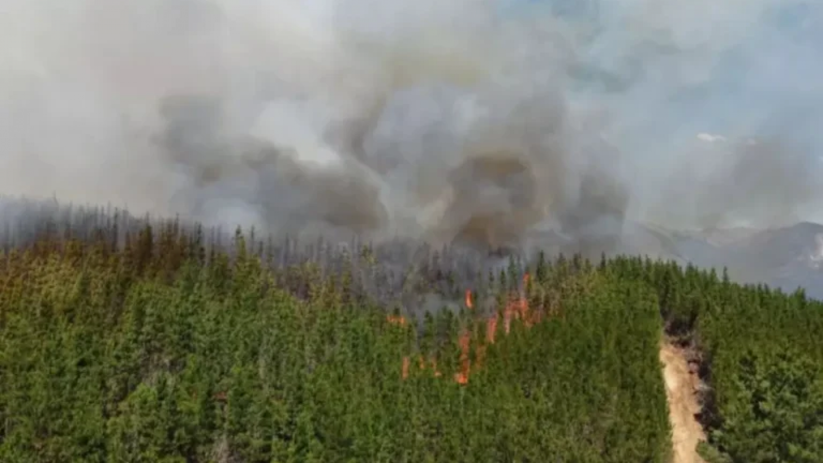 El incendio en Los Alerces sigue activo y obliga a cortar accesos turísticos