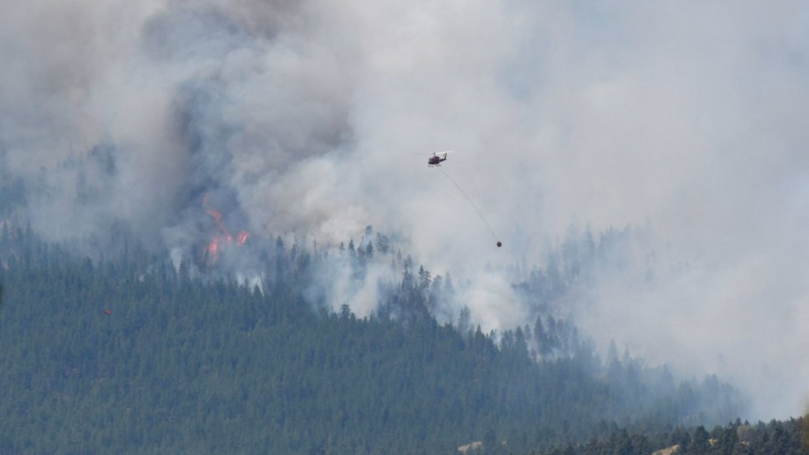 Incendios en la Patagonia: Chubut concentra la mayor cantidad de focos activos del país