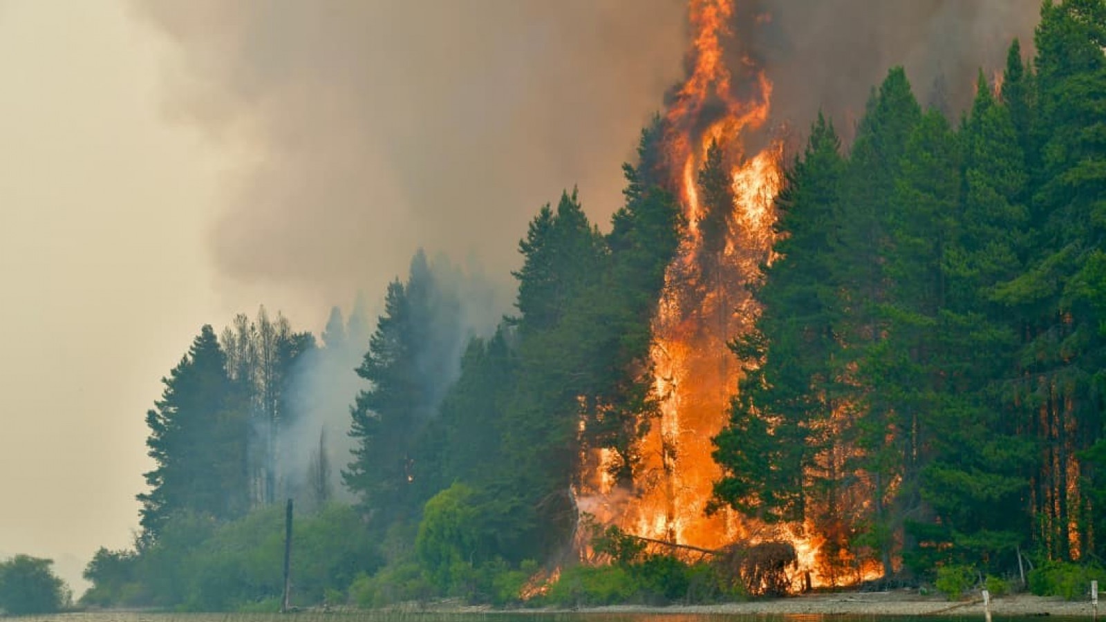 Más de 300 personas trabajan para combatir el incendio en Puerto Patriada