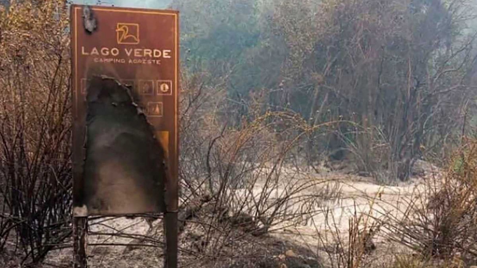Parque Nacional Los Alerces: continúa el combate del incendio con brigadas, bomberos y apoyo aéreo