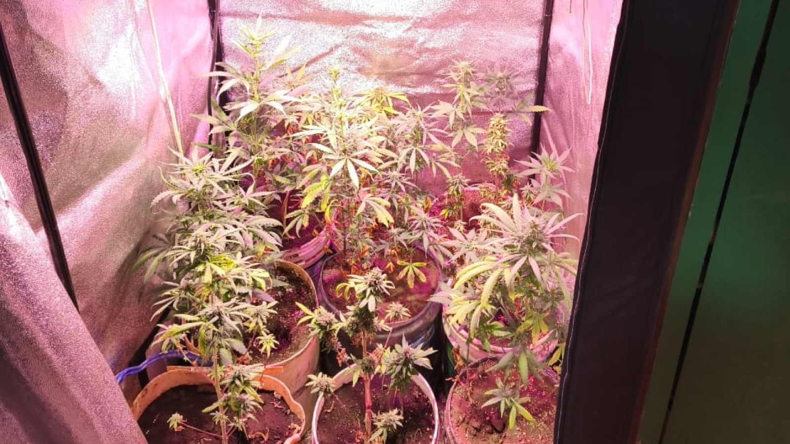 Allanamiento en Trelew: recuperaron herramientas robadas y secuestraron marihuana