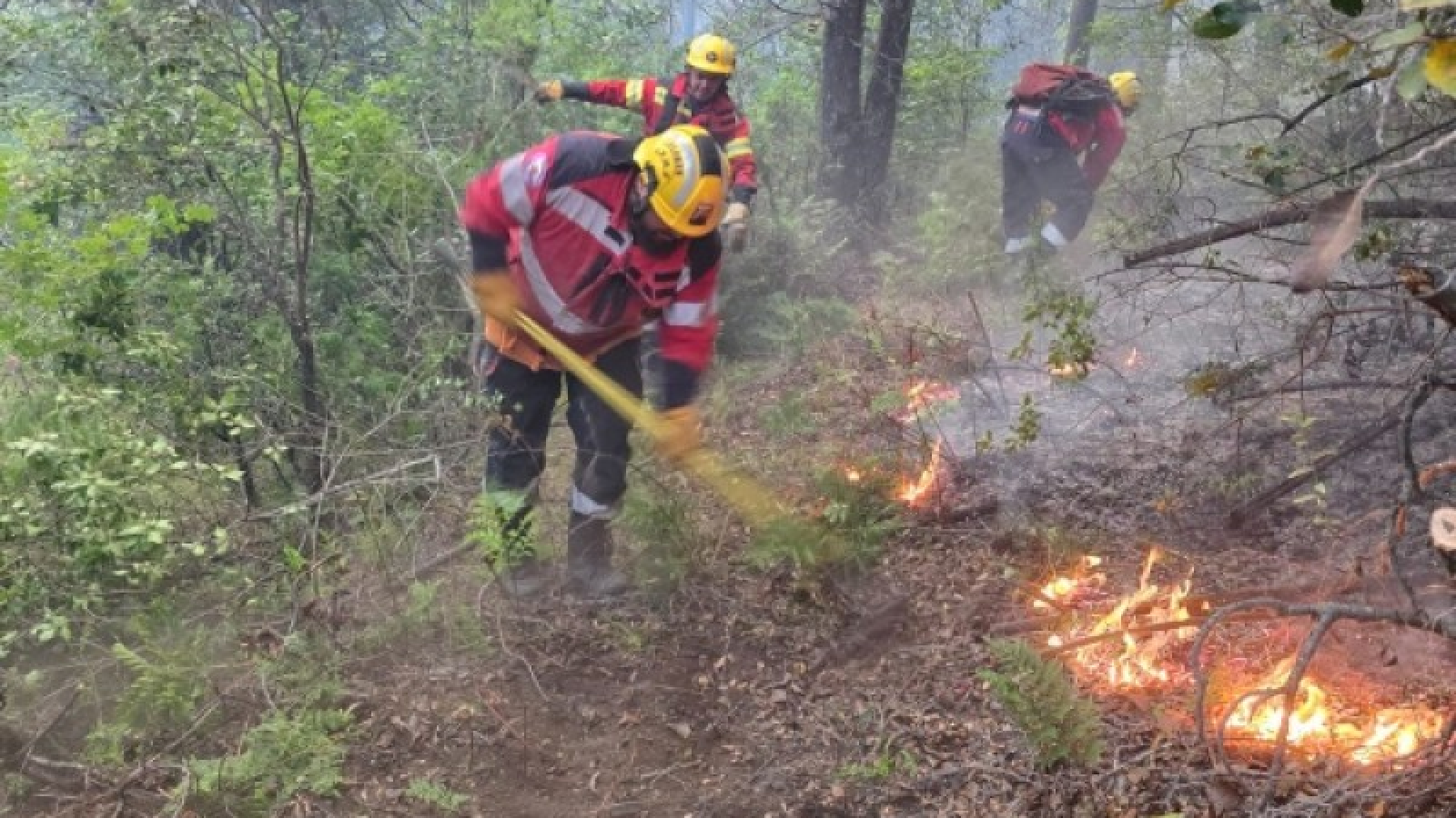 Más de 14.700 hectáreas afectadas por el incendio en Puerto Patriada