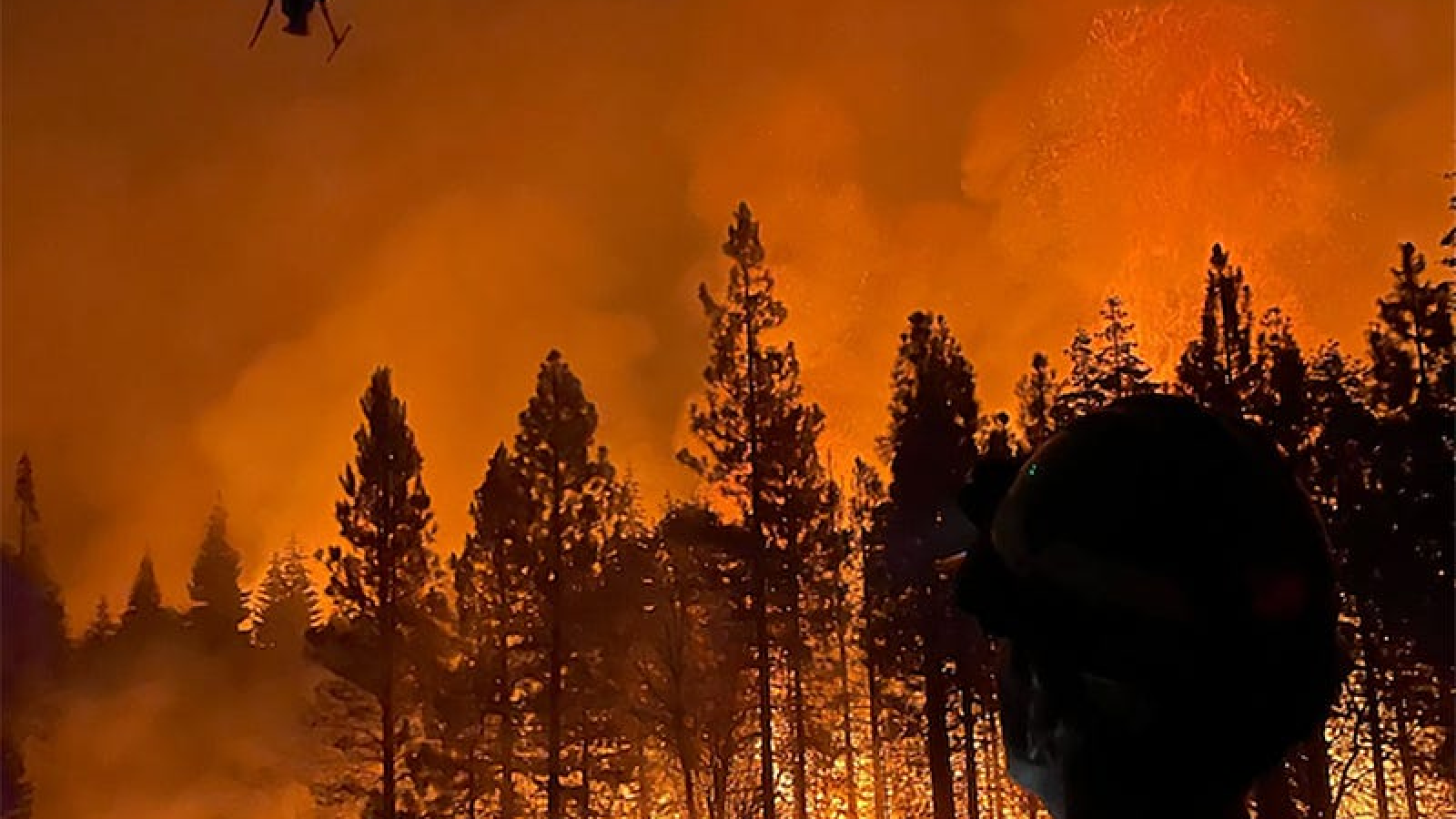 Más de 15 mil hectáreas afectadas por el incendio en Los Alerces