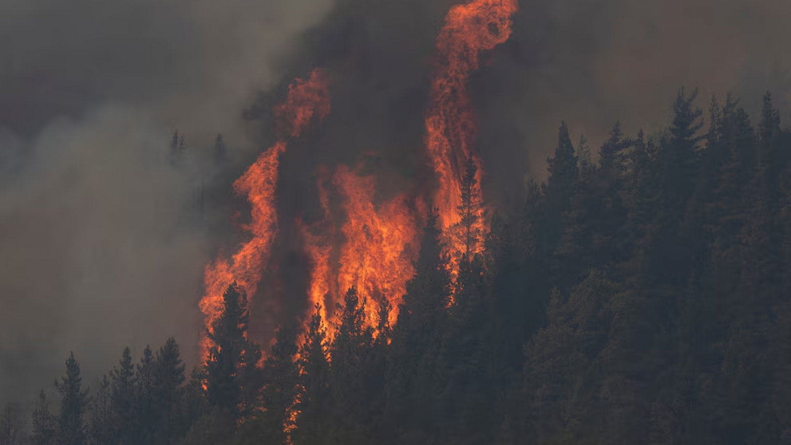 Luque criticó el decreto por los incendios: "Declara la emergencia pero no la financia"