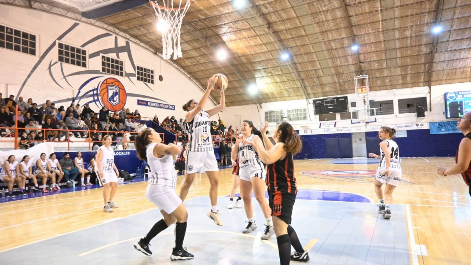 Puerto Madryn recibe la 2ª edición del Torneo de Maxi Básquet: sedes, equipos y cronograma completo