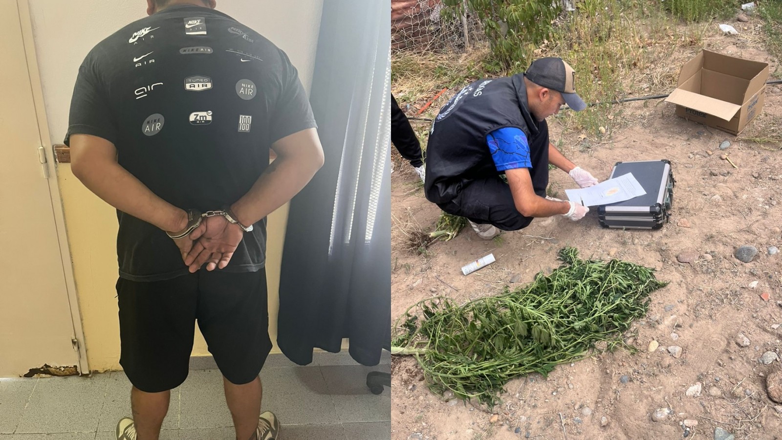 Detuvieron a un hombre en Trelew por agredir a su pareja, atacar a la policía y poseer plantas de marihuana