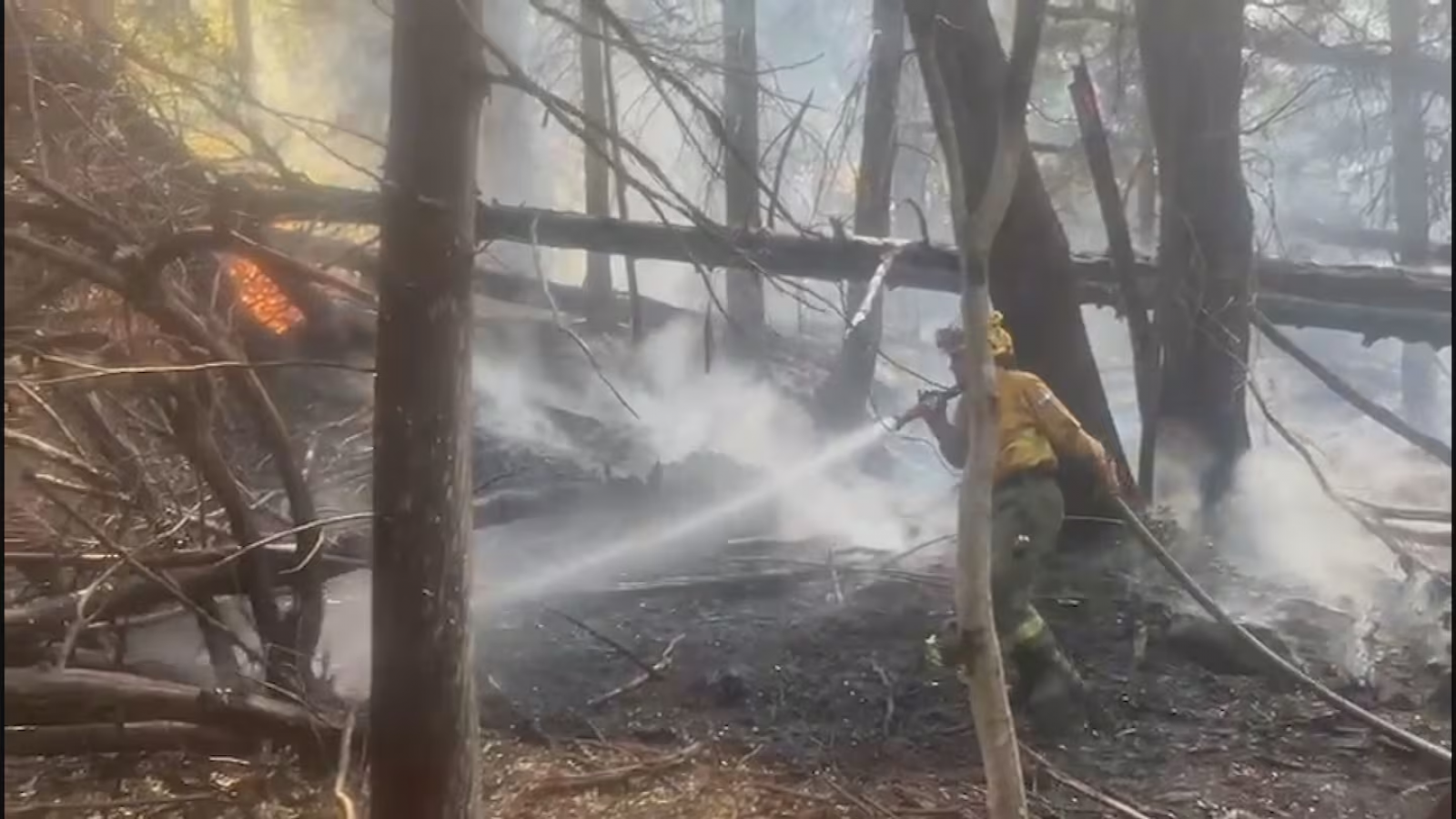 Contuvieron el incendio que se hab韆 propagado desde el Parque Nacional Los Alerces