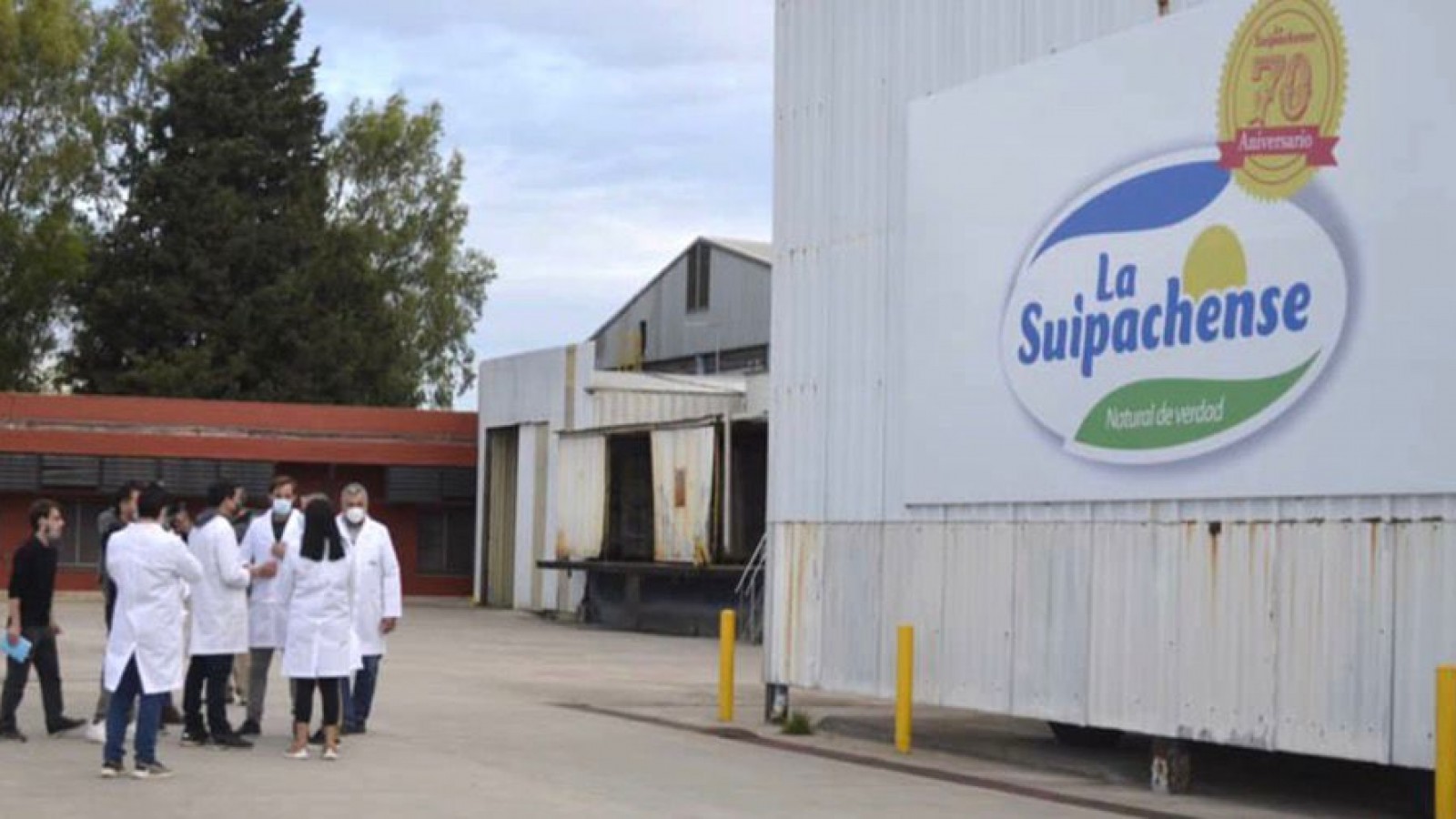 Crisis en la industria láctea: sobreoferta, caída del consumo y más cierres