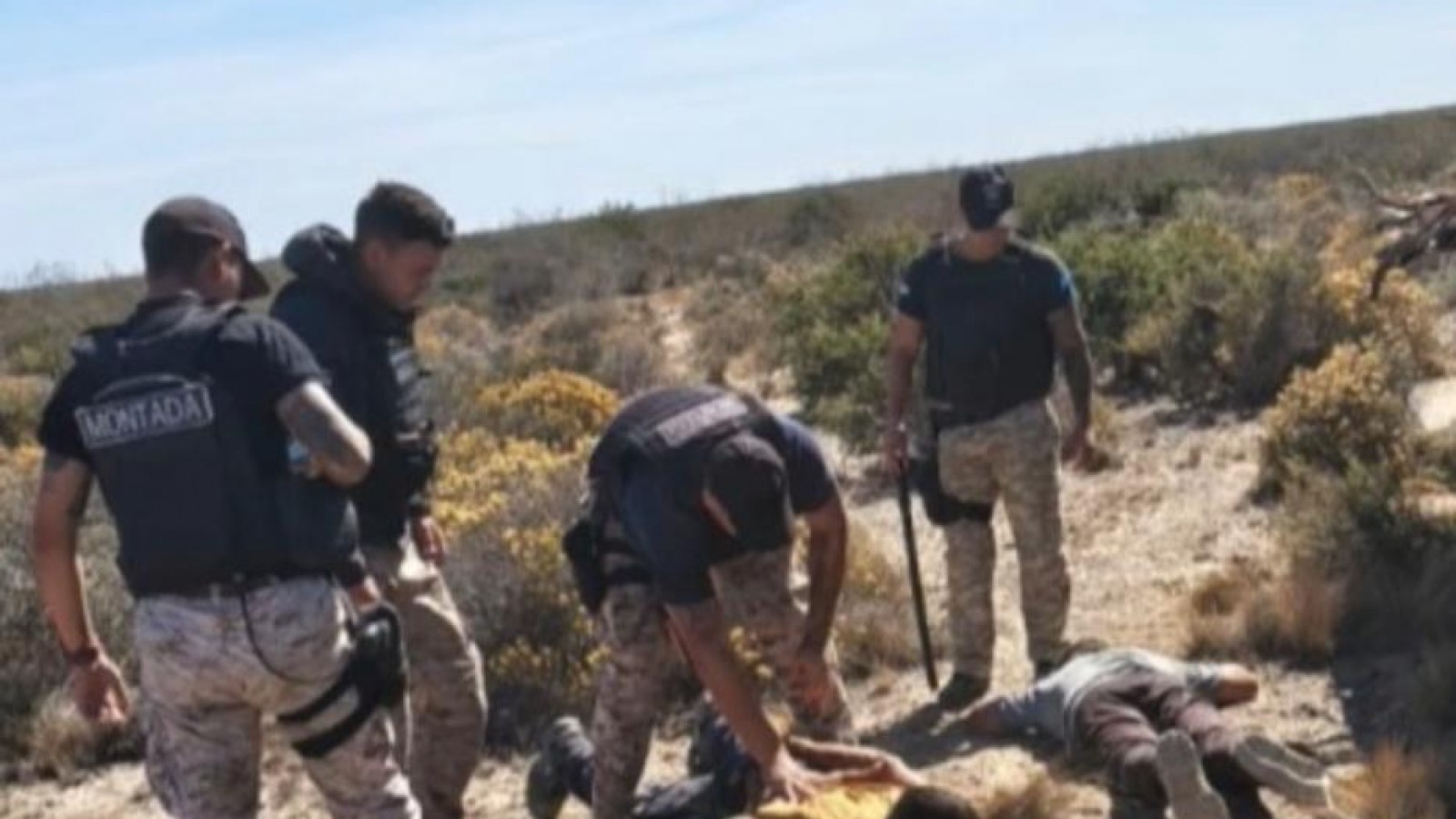 Detuvieron a un hombre tras una persecución por caza y recolección ilegal