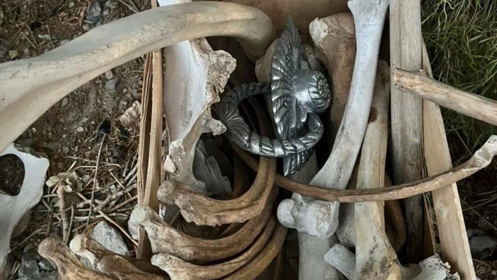 Hallazgo inquietante en Gaiman: denunciaron la aparición de una caja con huesos y objetos vinculados a rituales