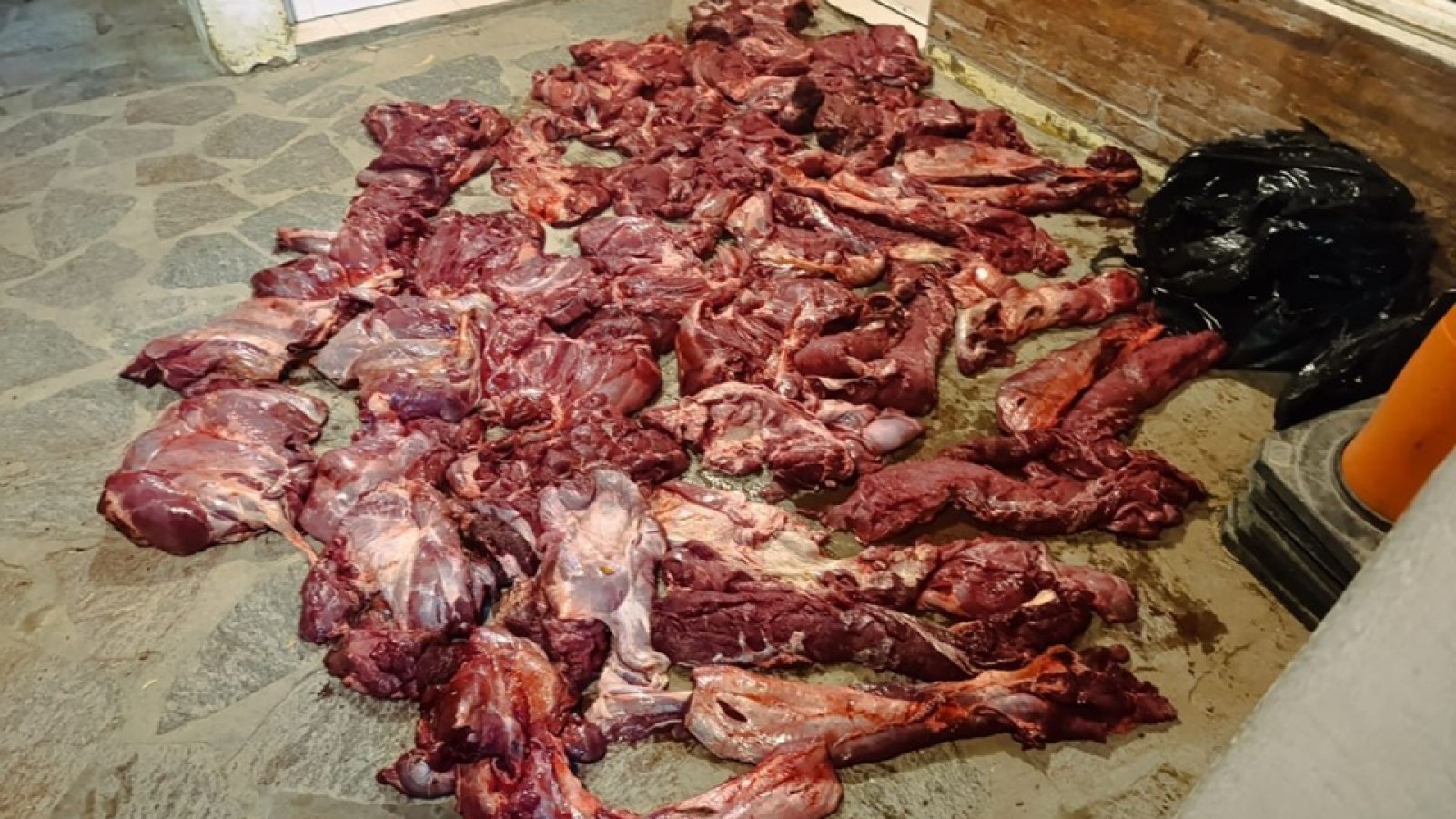 Madrynense interceptado con casi 40 piezas de guanaco en el Puesto 211