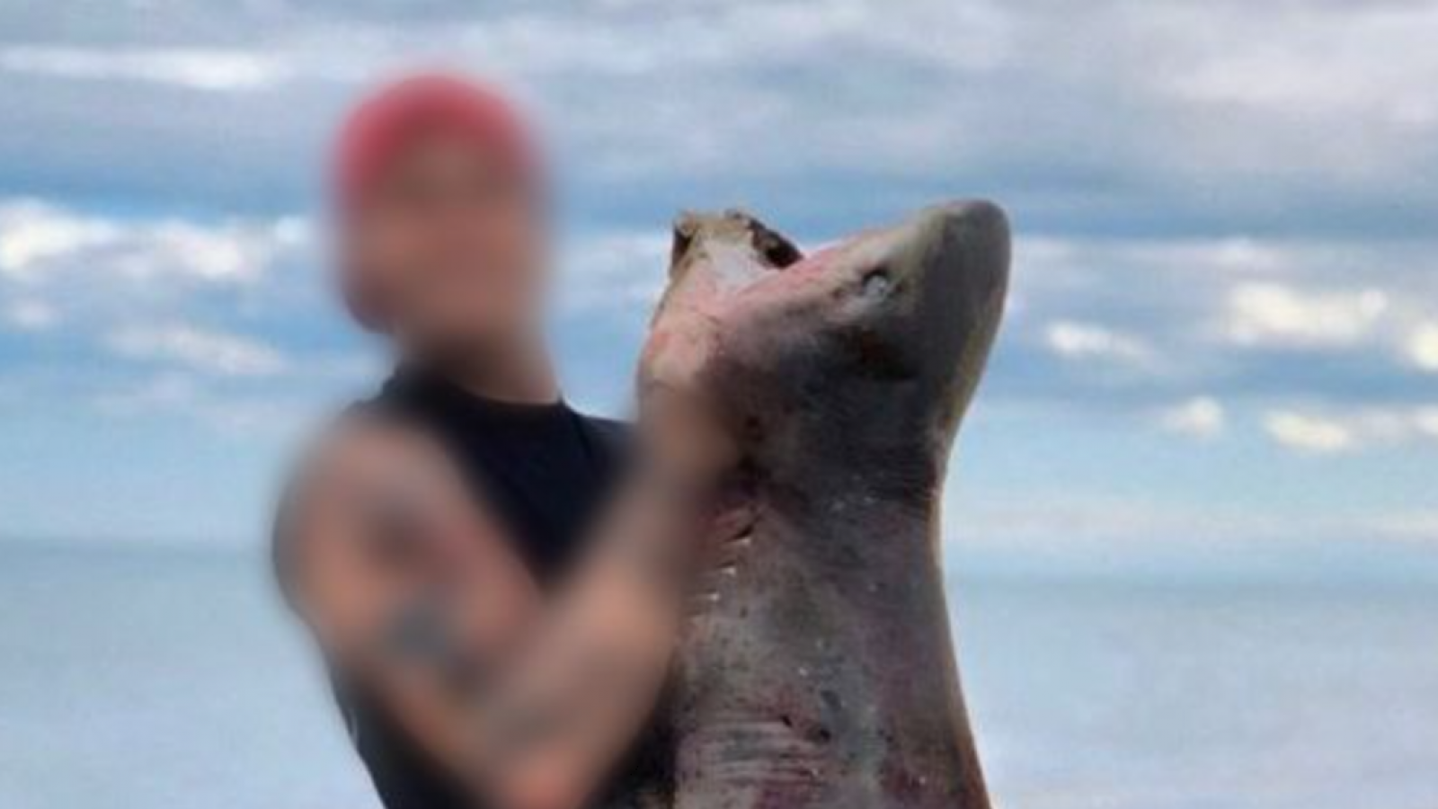 Primera denuncia penal en Chubut por la captura de un tiburón declarado Monumento Natural