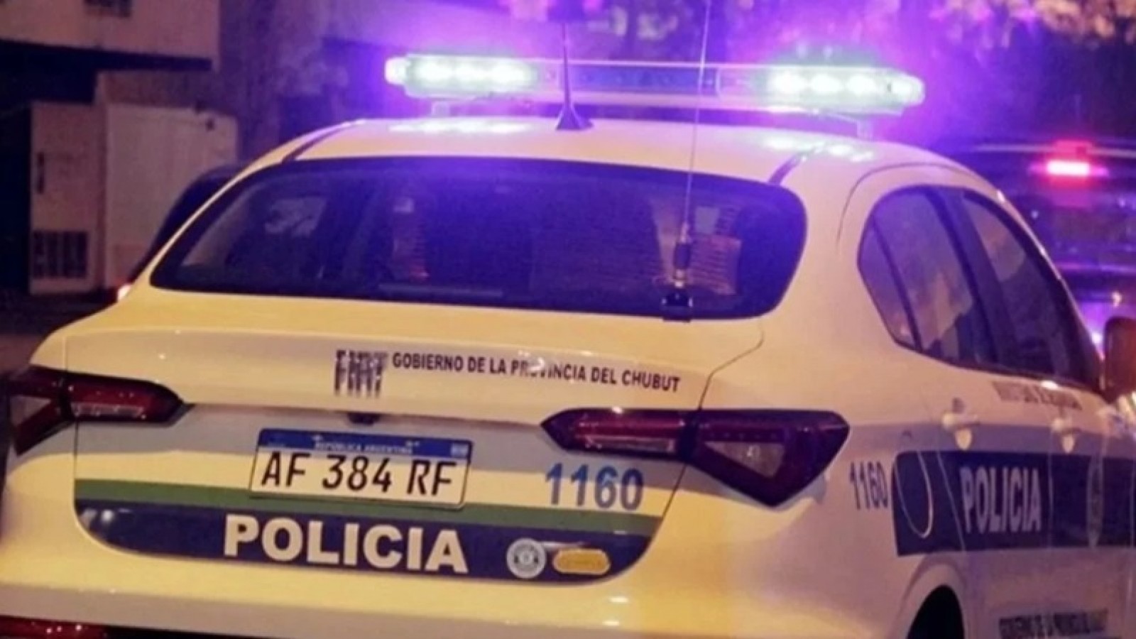 Puerto Madryn: detuvieron a una joven tras la brutal pelea que terminó con un ataque de perro