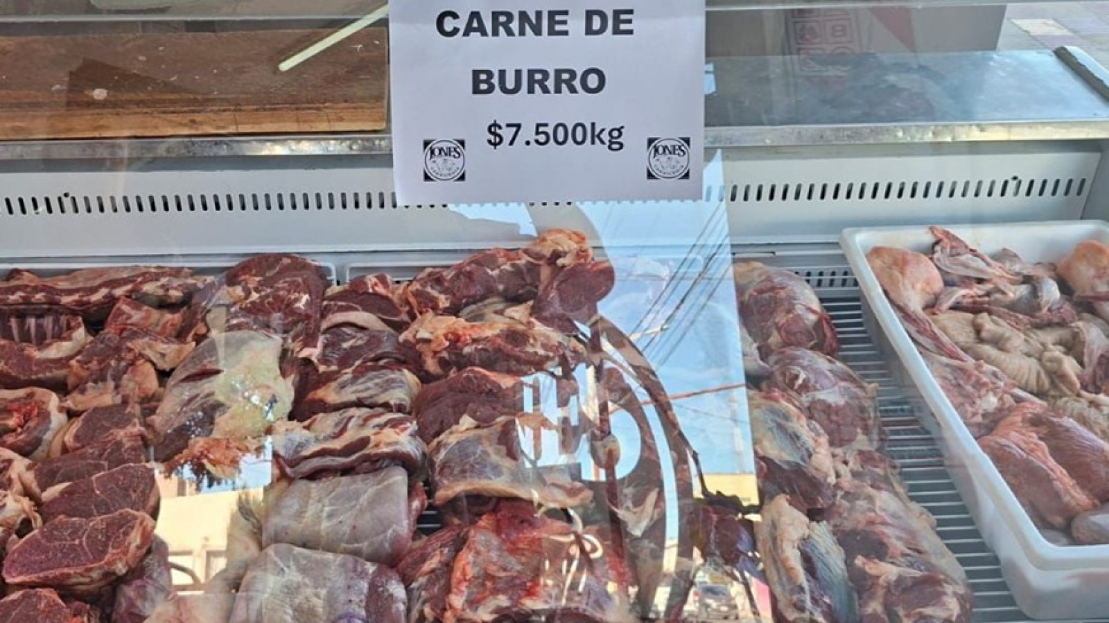 "No maten a los burros": protectoras de animales buscan impedir la matanza para consumo en Chubut