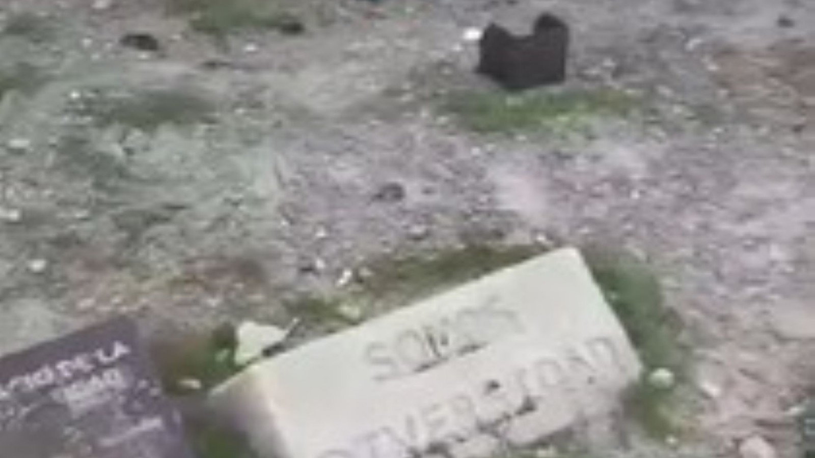 Indignación en Puerto Madryn: vandalizaron el monumento a la diversidad y crece el repudio social