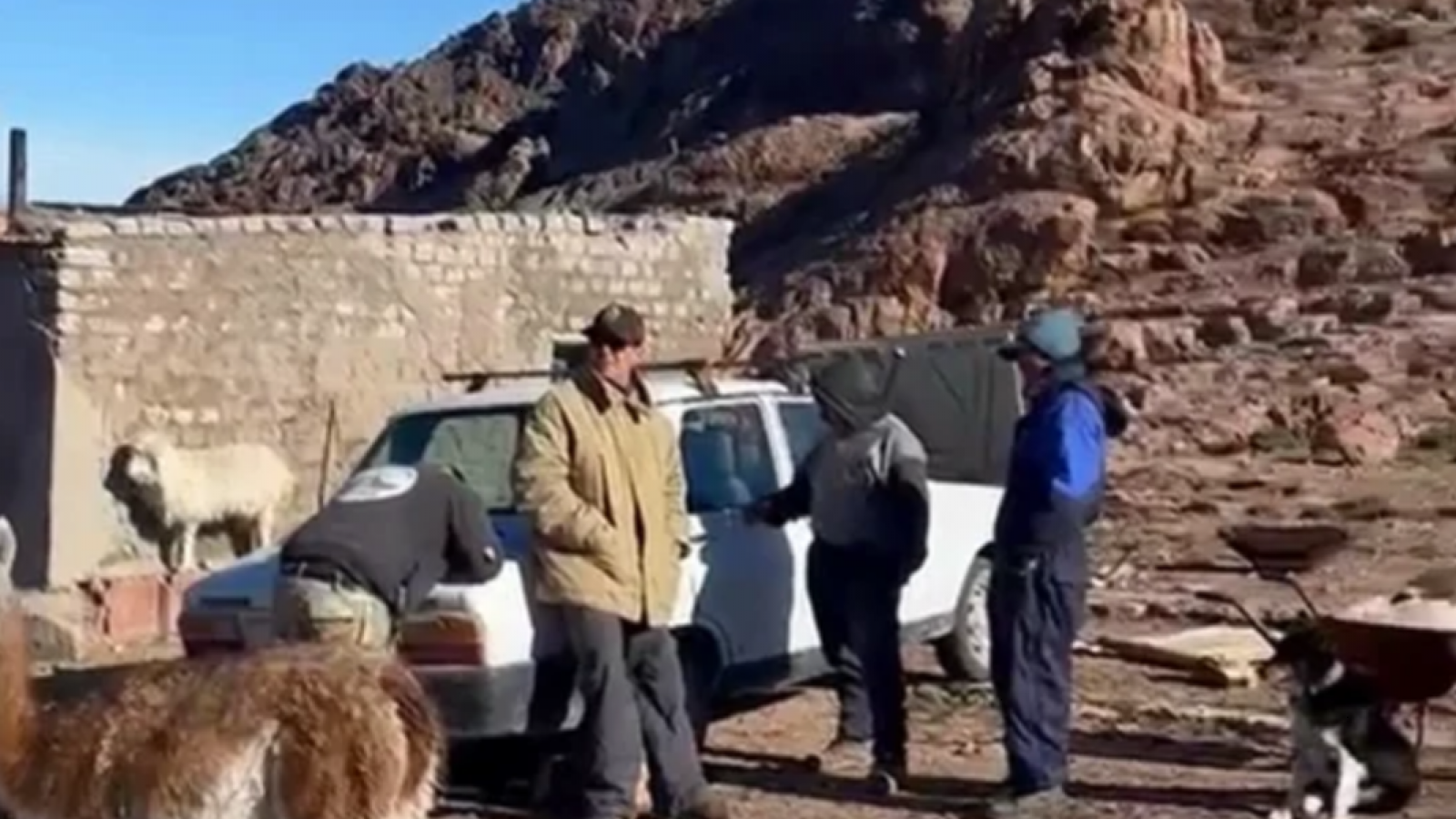 La Fiscalía de Madryn encabezó un operativo en la meseta: recuperaron tierras, animales y secuestraron armas