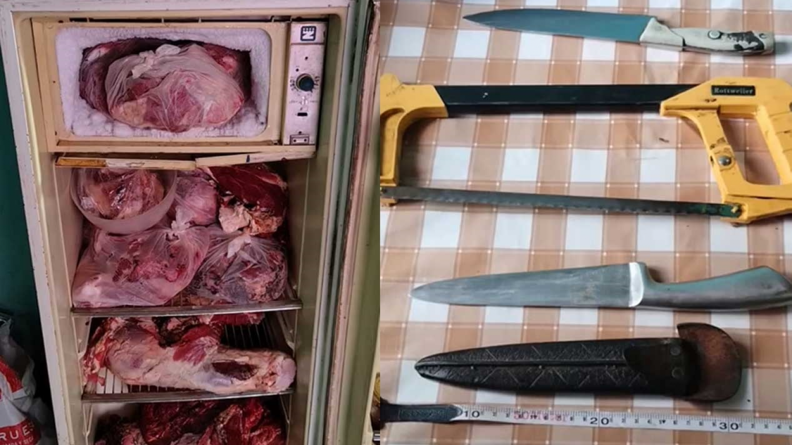Allanan presuntas guaridas de cuatreros en El Hoyo: hallaron carne enterrada