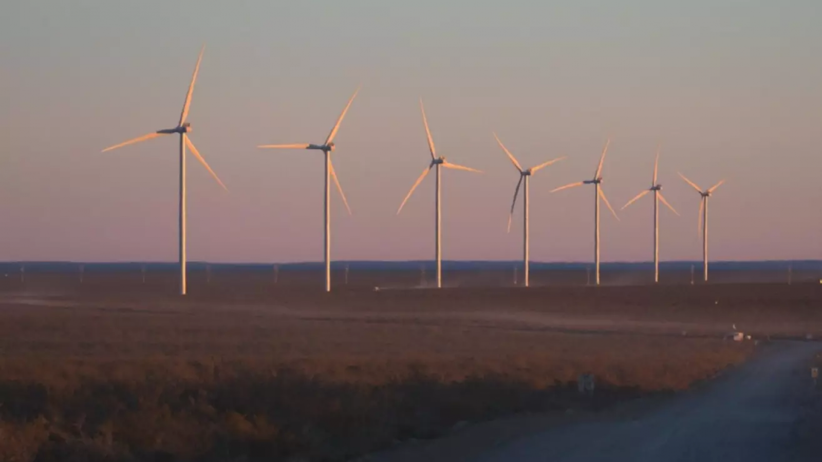 Puerto Madryn: finalizó el montaje de los 56 aerogeneradores del parque eólico La Flecha