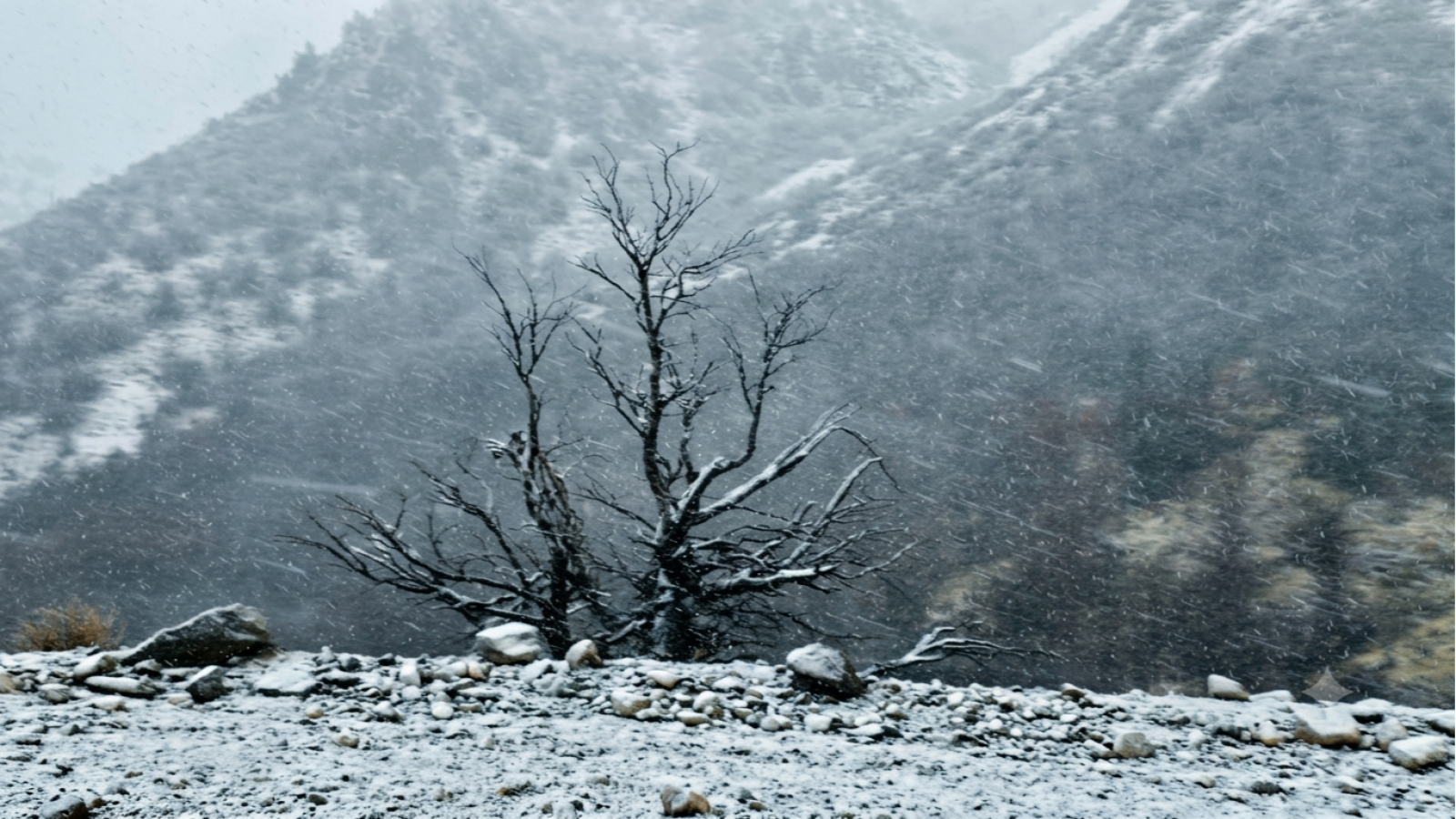 Las primeras nevadas llegaron a La Hoya y crece la expectativa por el inicio de la temporada