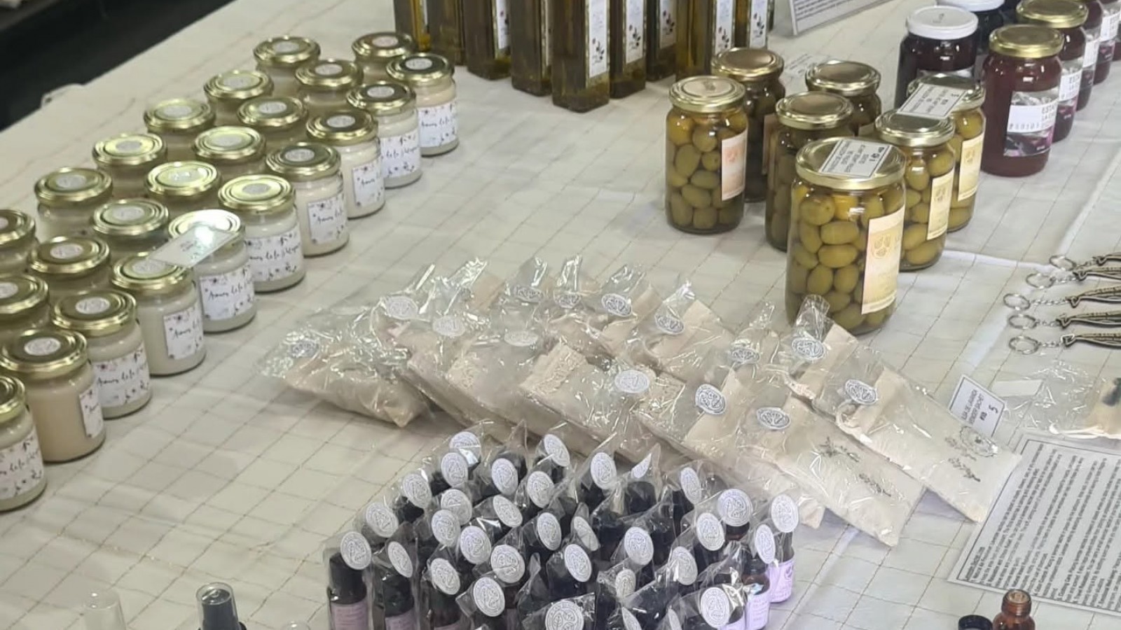 Los olivares patagónicos serán protagonistas de una edición especial de "Con Sabor a Madryn"