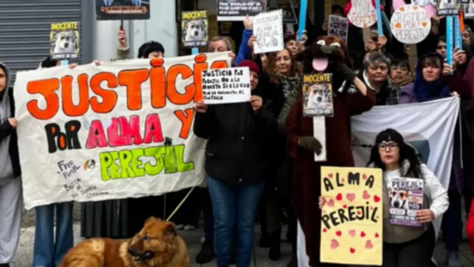 Caso Alma y Perejil: rescatistas y vecinos cuestionaron el accionar de la fiscal