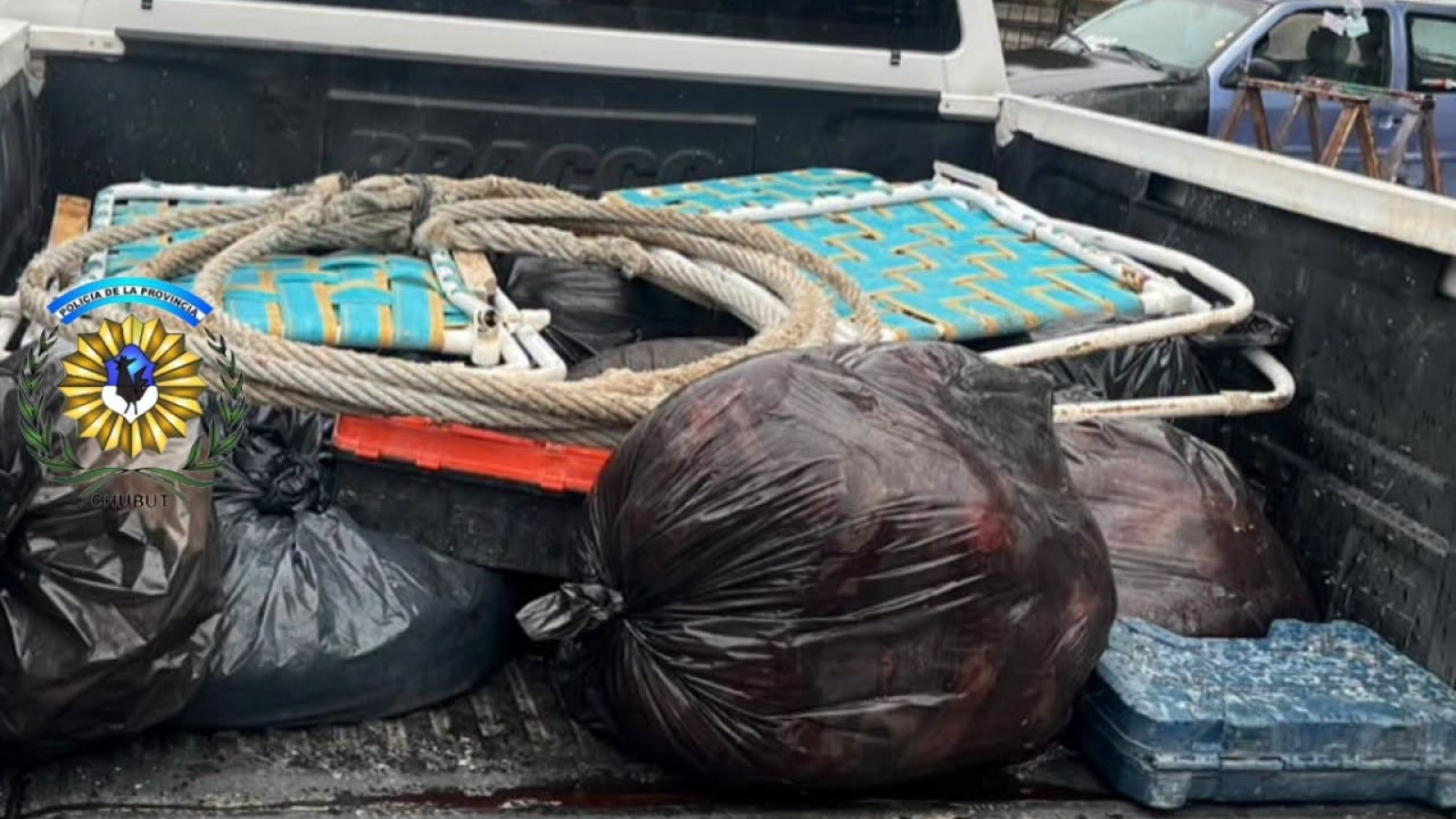 Decomisaron carne de 24 guanacos durante un operativo sobre la Ruta 25