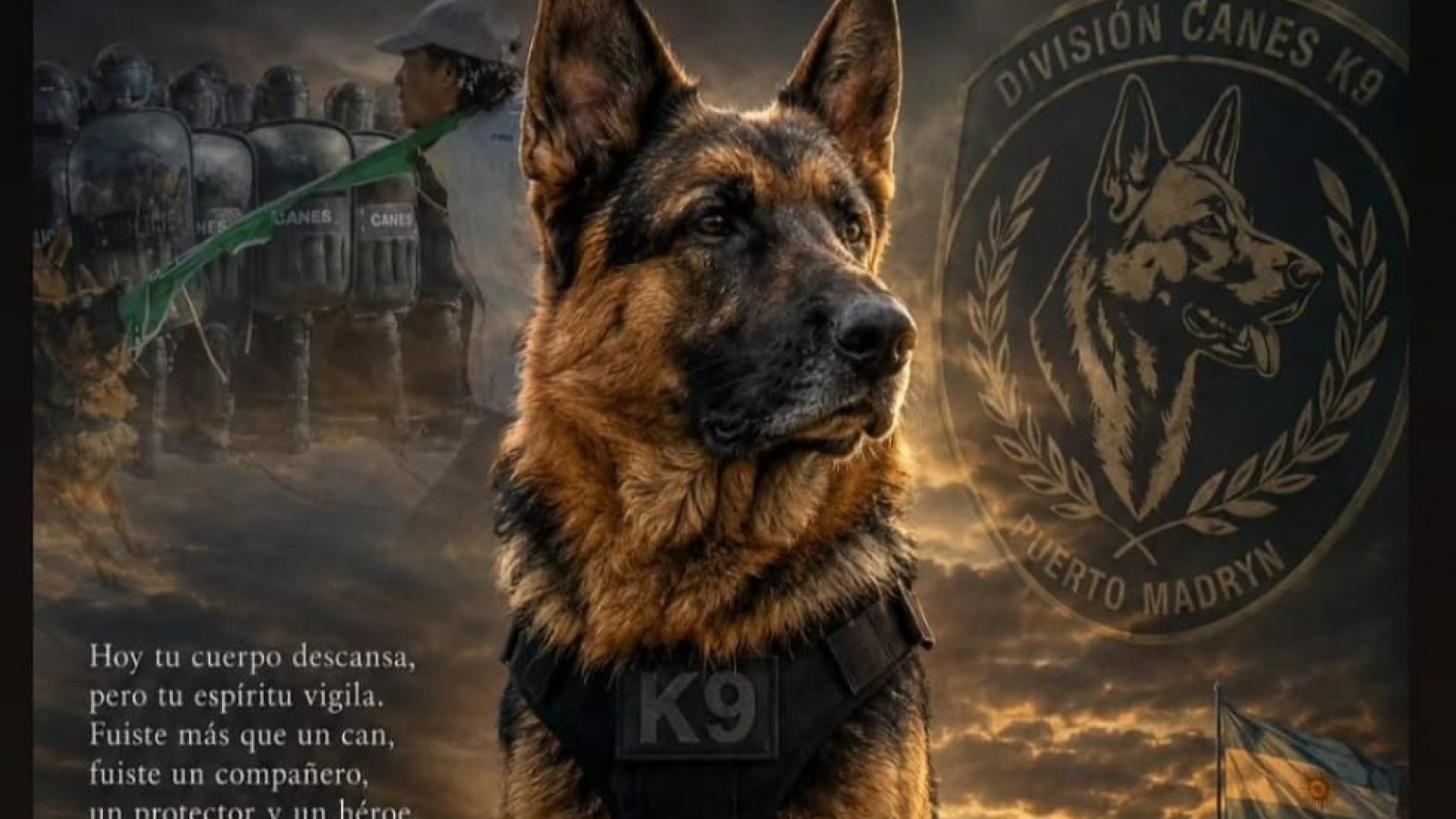 Adiós a un héroe local: conmoción en Puerto Madryn por la partida de Athos, el perro insignia de la División Canes