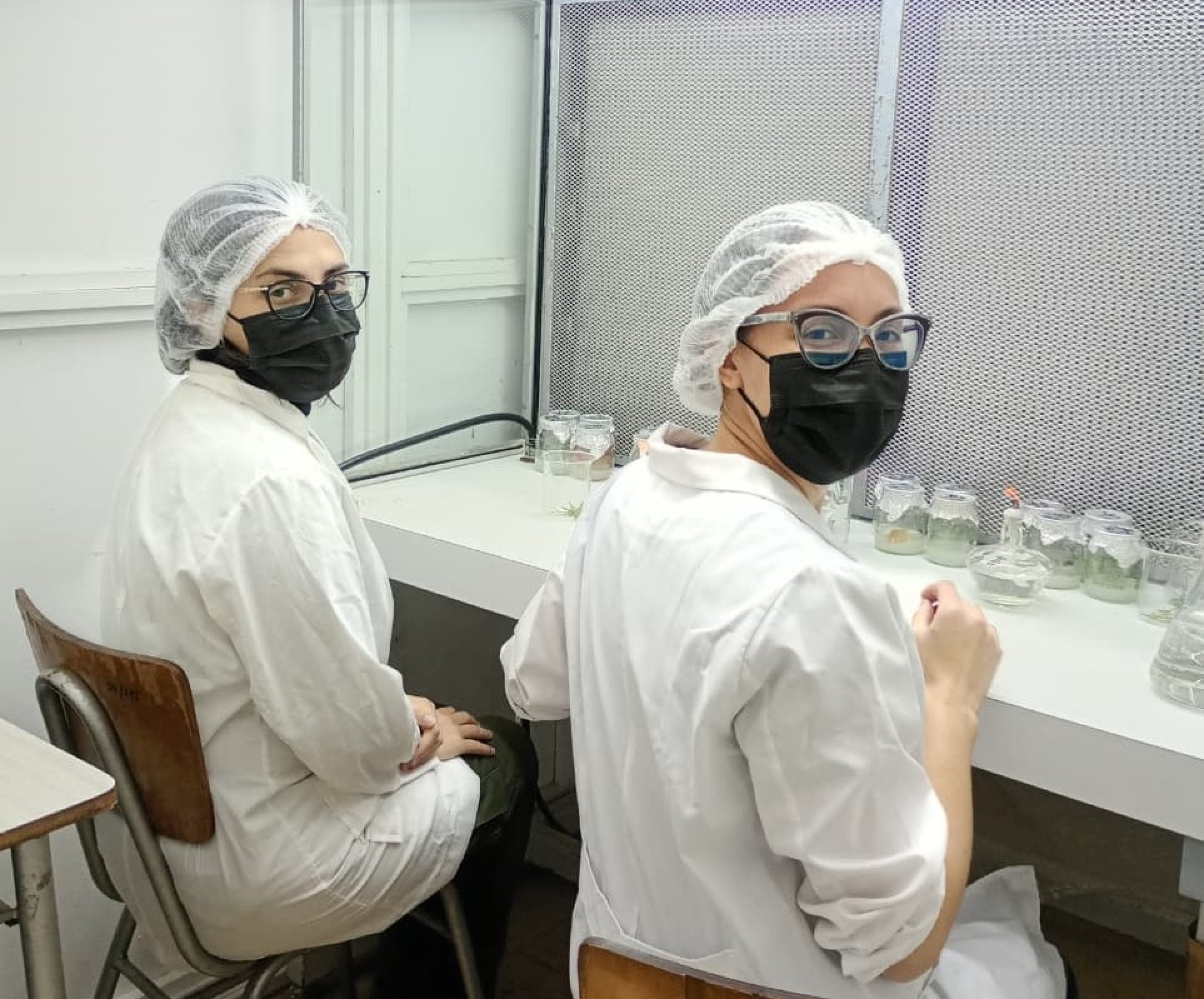 Formación de excelencia: becaria chubutense se capacita en cultivo in vitro para potenciar la investigación sobre coníferas nativas patagónicas