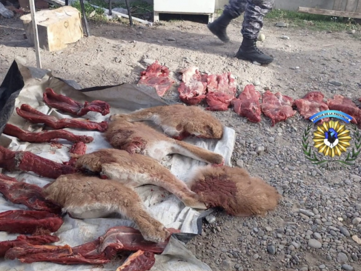 Escaparon de un control y terminaron con carne de guanaco secuestrada en la Ruta 25