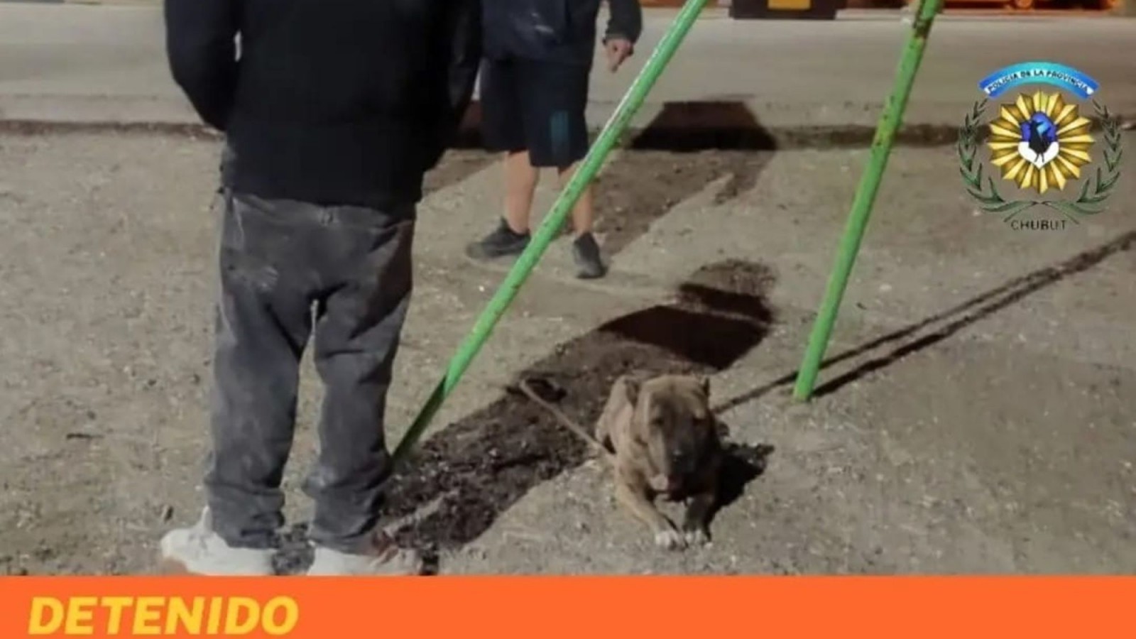 Puerto Madryn: detuvieron a un joven tras un violento intento de robo con un pitbull en barrio Pujol II