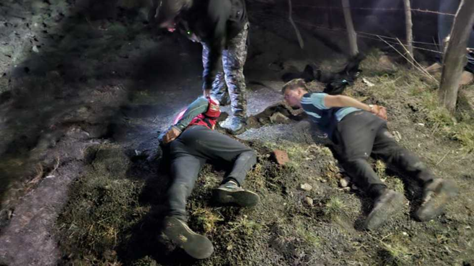 Prisión preventiva para dos hombres acusados de intentar robar nueve ovejas en la zona rural de Rawson